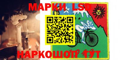 мдпв Бердск