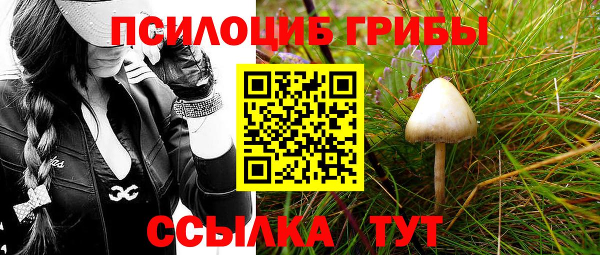 Галлюциногенные грибы Cubensis  Вход с VPN  Псилоцибиновые грибы ЛСД  Гуково 