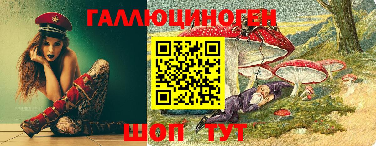 Псилоцибиновые грибы Psilocybine cubensis Гуково